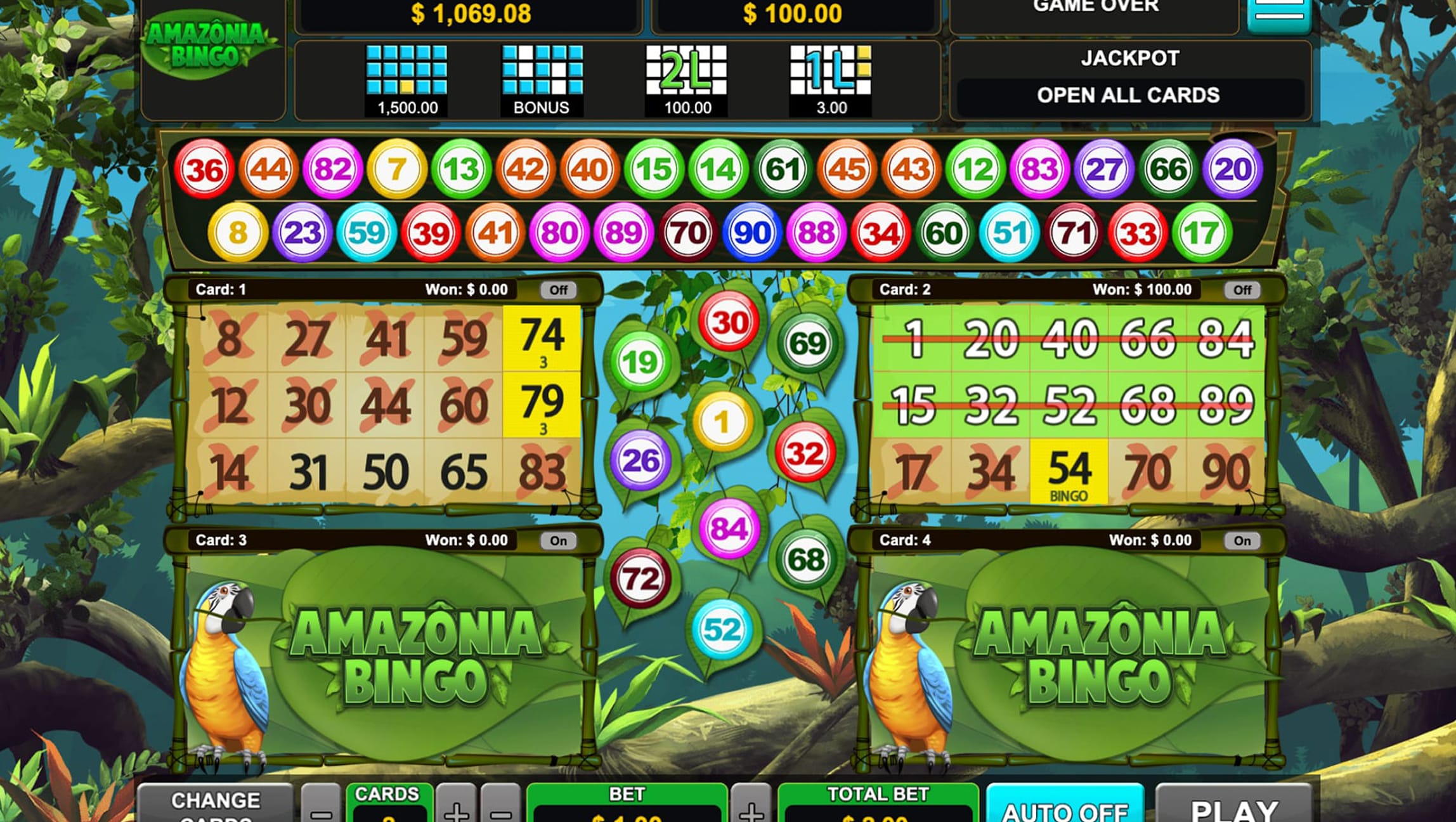 Amazonia bingo game screen